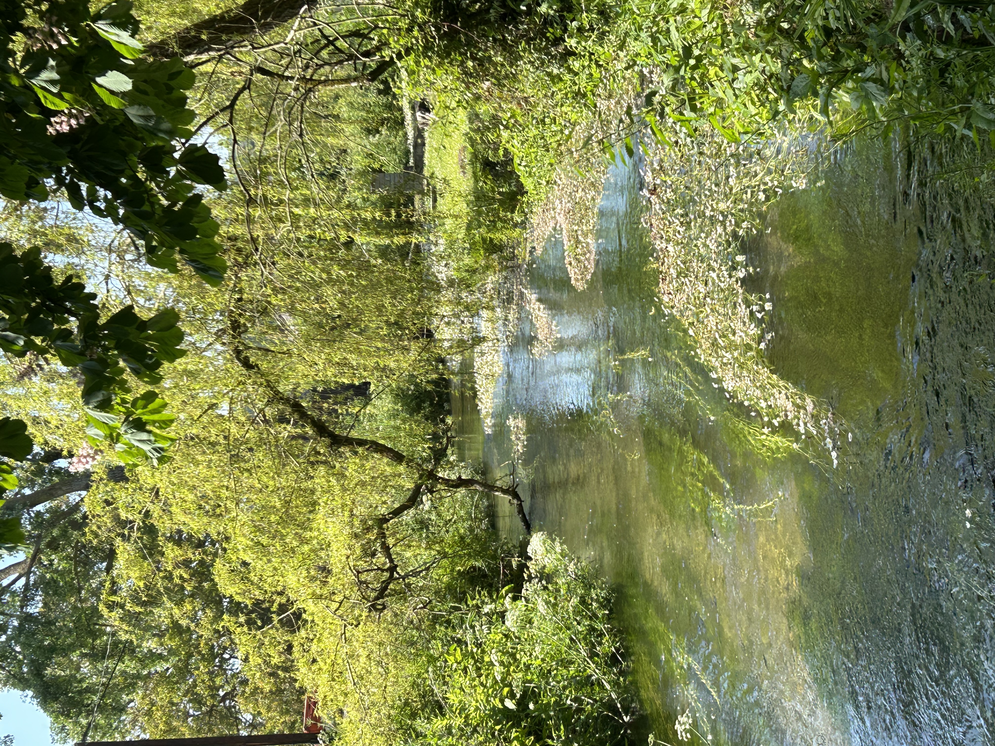 River Ebble as it passes through Bishopstone - Summer 2023.